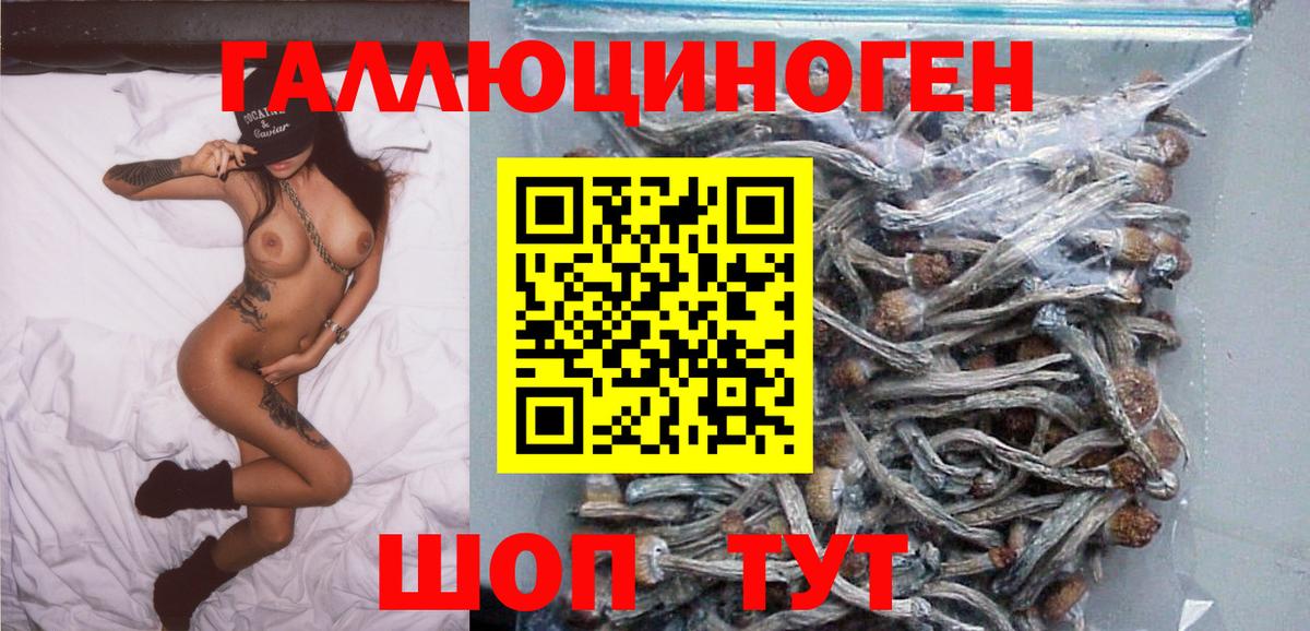 купить наркотик  Вход с VPN  Псилоцибиновые грибы Magic Shrooms  Можайск  Псилоцибиновые грибы Psilocybe 